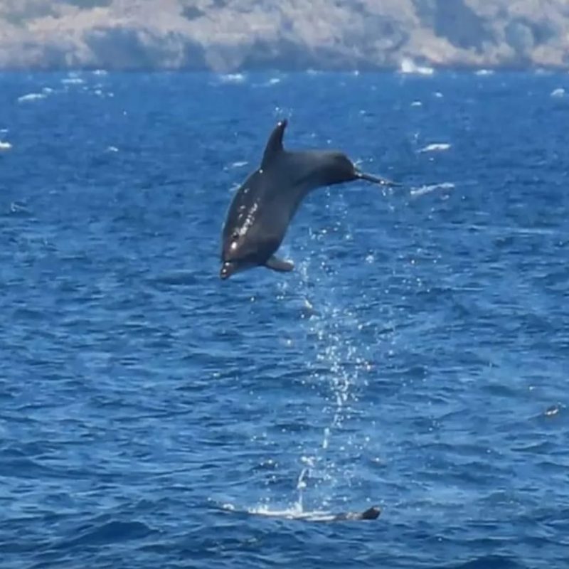 Escursione delle tre isole