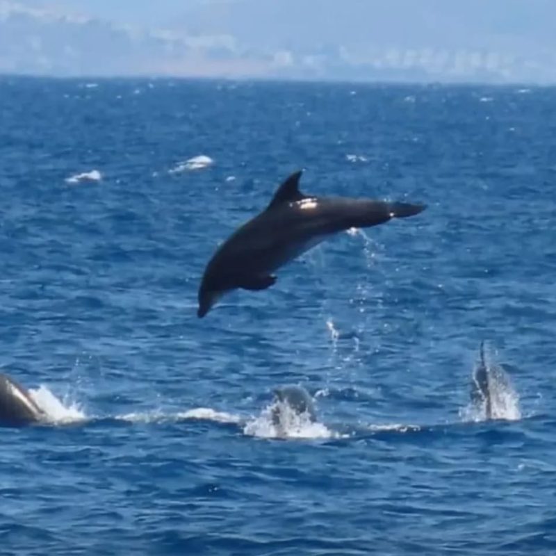 Escursione delle tre isole