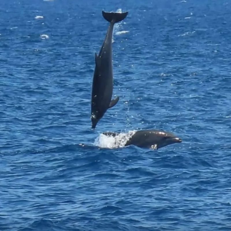 Escursione delle tre isole